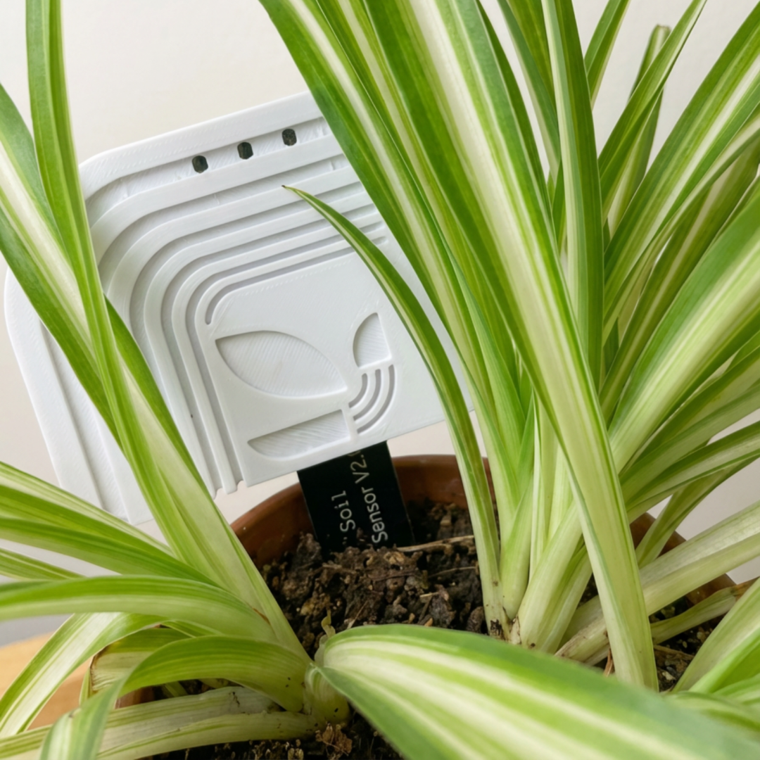 Sistema inteligente Bloomit instalado en maceta con indicadores de humedad del suelo